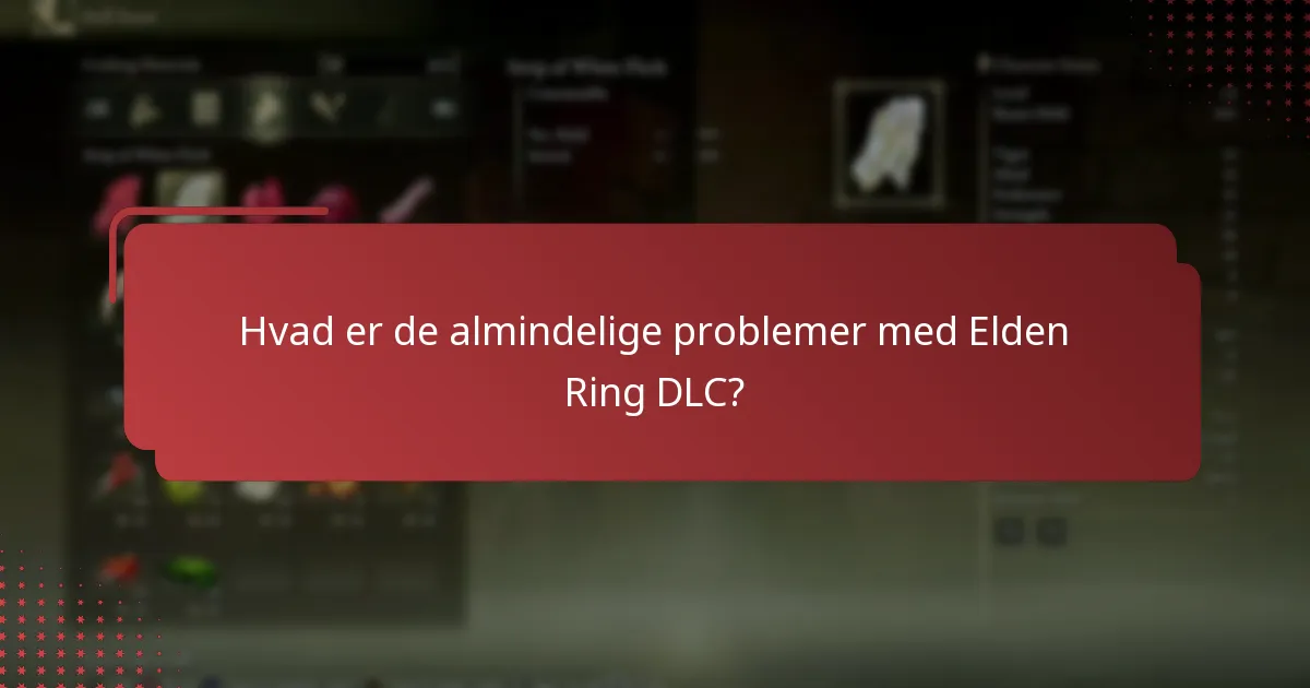 Hvordan kan jeg fejlsøge problemer med Elden Ring DLC?